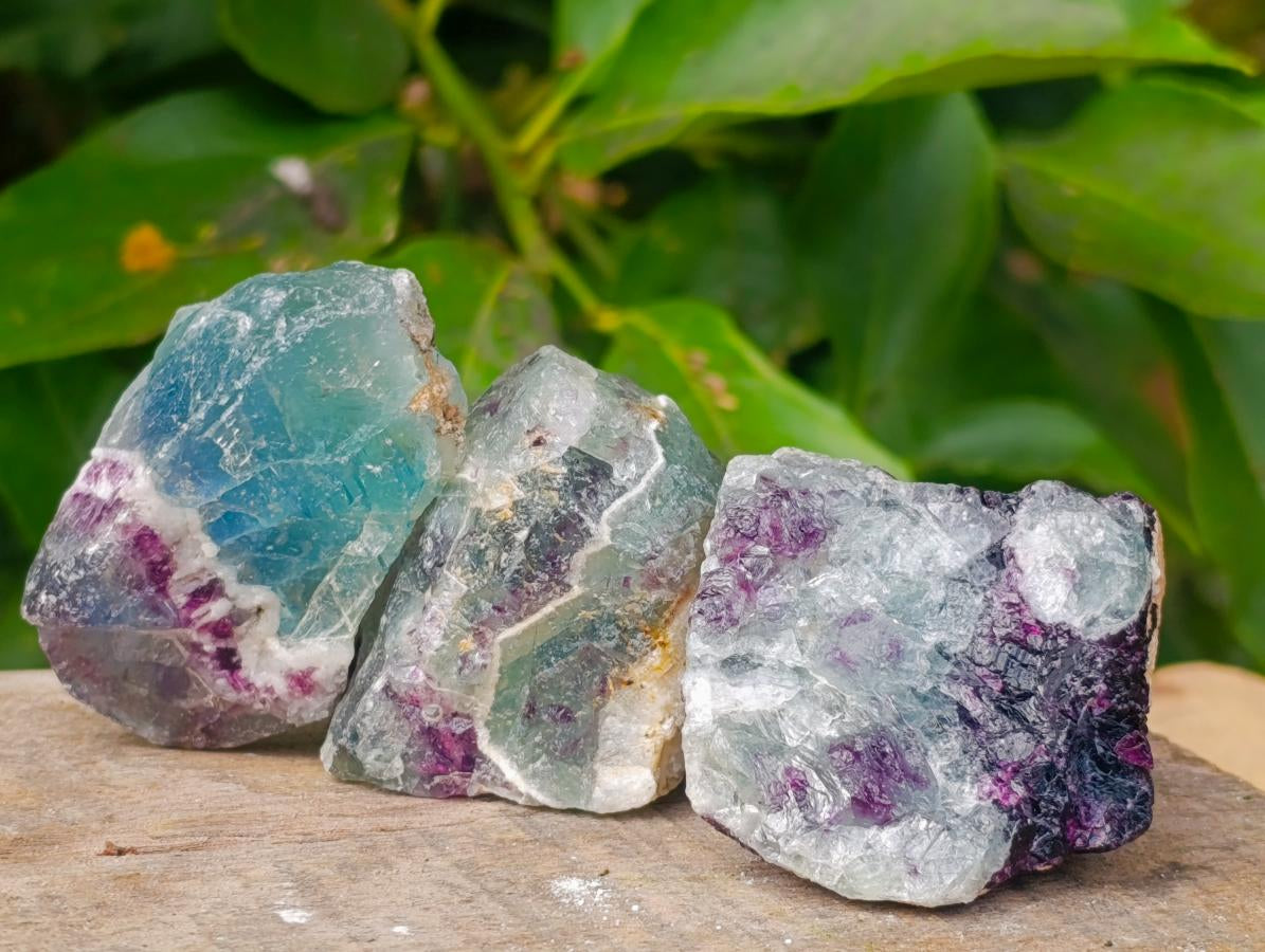 Natural Watermelon Fluorite Cobbed Specimens x 35 From Uis, Namibia
