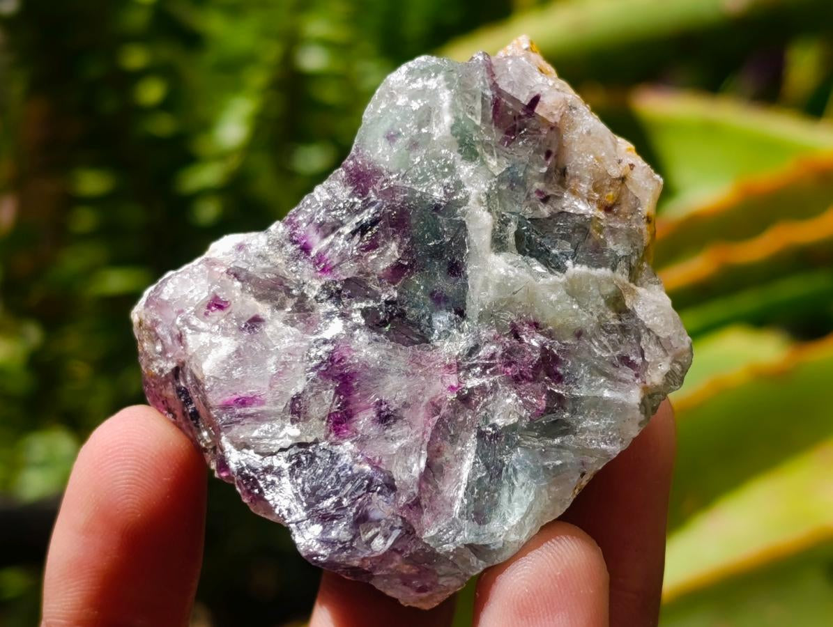 Natural Watermelon Fluorite Cobbed Specimens x 35 From Uis, Namibia