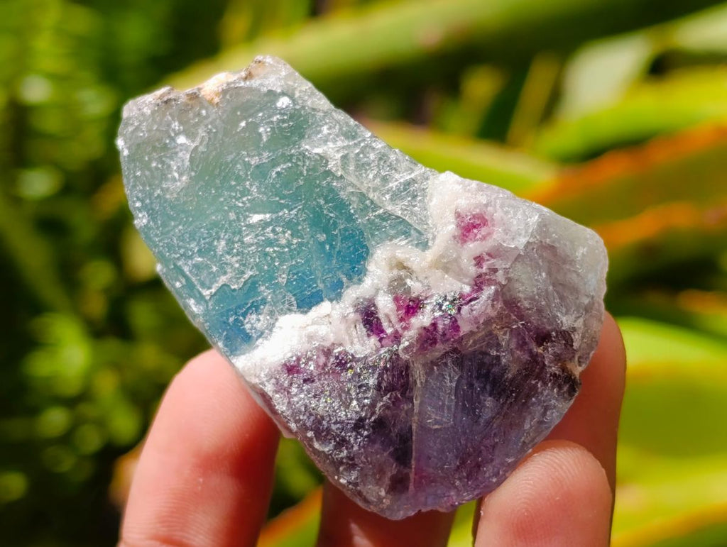 Natural Watermelon Fluorite Cobbed Specimens x 35 From Uis, Namibia