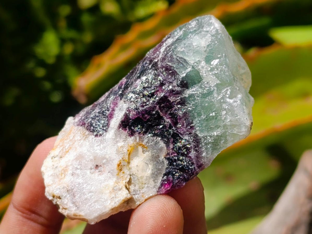 Natural Watermelon Fluorite Cobbed Specimens x 35 From Uis, Namibia