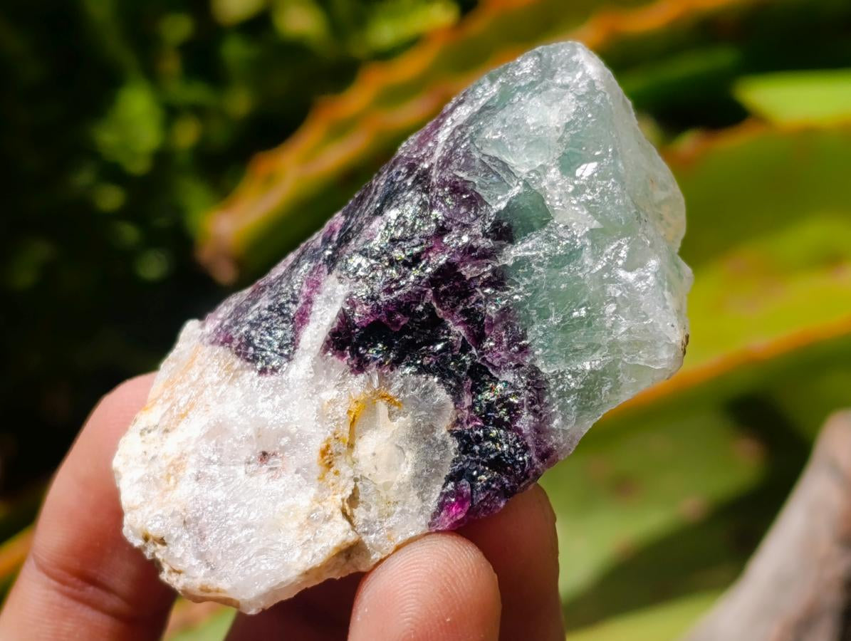 Natural Watermelon Fluorite Cobbed Specimens x 35 From Uis, Namibia