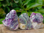 Natural Watermelon Fluorite Cobbed Specimens x 35 From Uis, Namibia