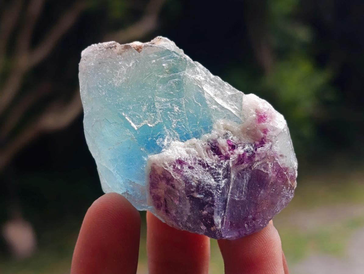Natural Watermelon Fluorite Cobbed Specimens x 35 From Uis, Namibia