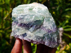 Natural Watermelon Fluorite Cobbed Specimens x 4 From Uis, Namibia