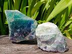 Natural Watermelon Fluorite Cobbed Specimens x 4 From Uis, Namibia