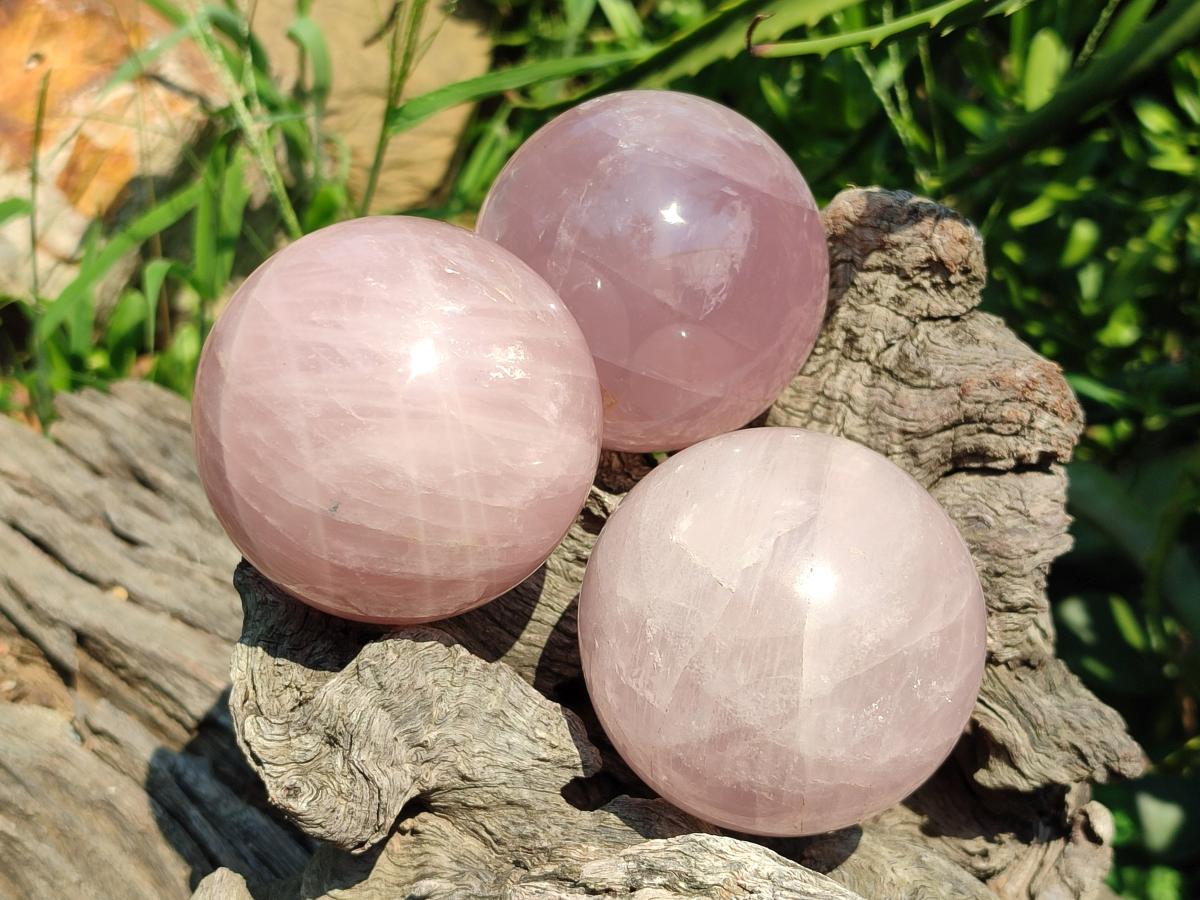 Polished Star Rose Quartz Spheres x 3 From Madagascar