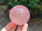 Polished Star Rose Quartz Spheres x 3 From Madagascar