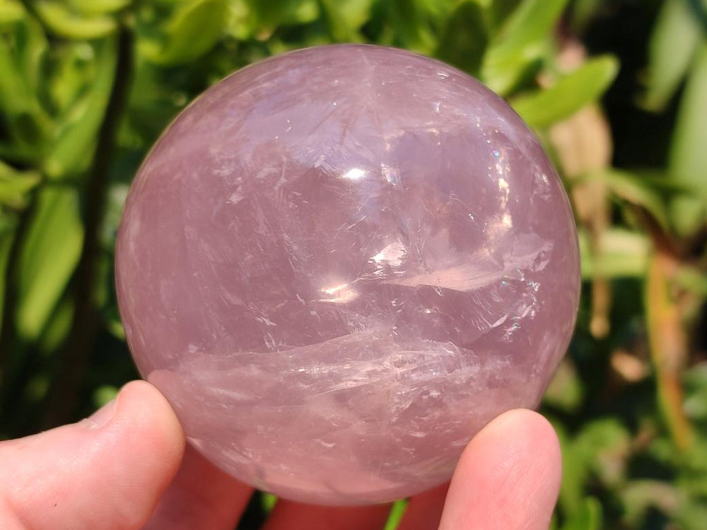 Polished Star Rose Quartz Spheres x 3 From Madagascar