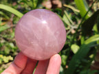 Polished Star Rose Quartz Spheres x 3 From Madagascar