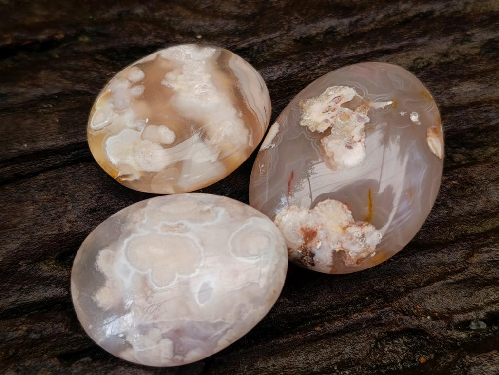 Polished Flower Agate Palm Stones x 20 From Antsahalova, Madagascar