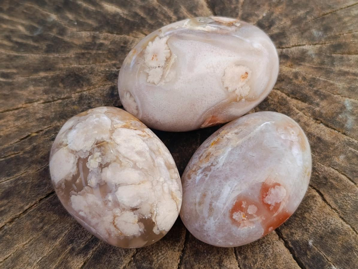 Polished Flower Agate Palm Stones x 20 From Antsahalova, Madagascar