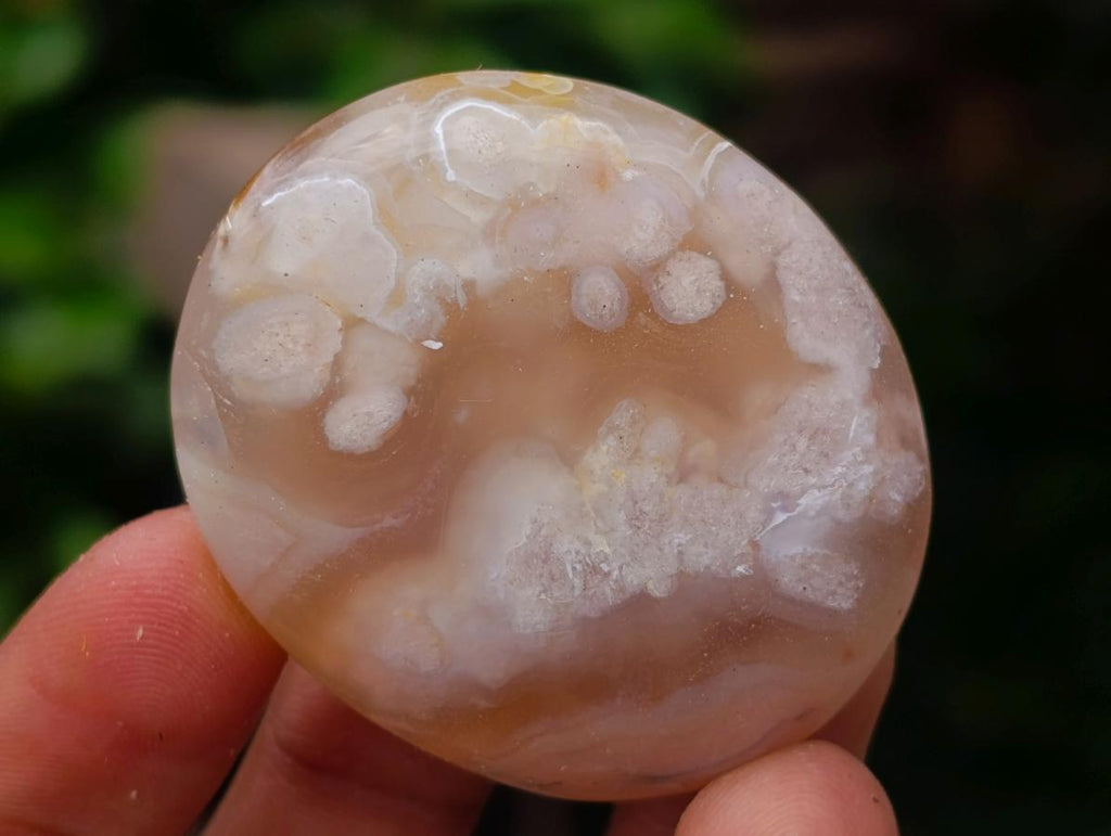 Polished Flower Agate Palm Stones x 20 From Antsahalova, Madagascar