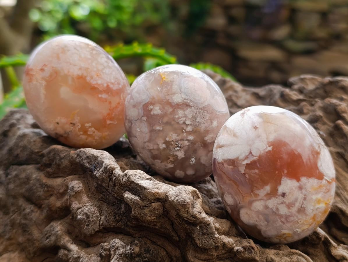 Polished Flower Agate Palm Stones x 20 From Antsahalova, Madagascar