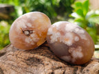 Polished Flower Agate Palm Stones x 20 From Antsahalova, Madagascar