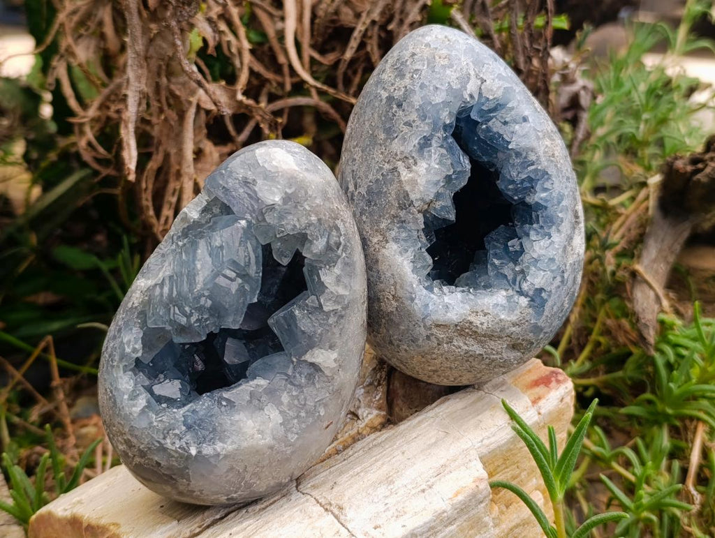 Polished Blue Celestite Eggs x 2 From Sakoany, Madagascar