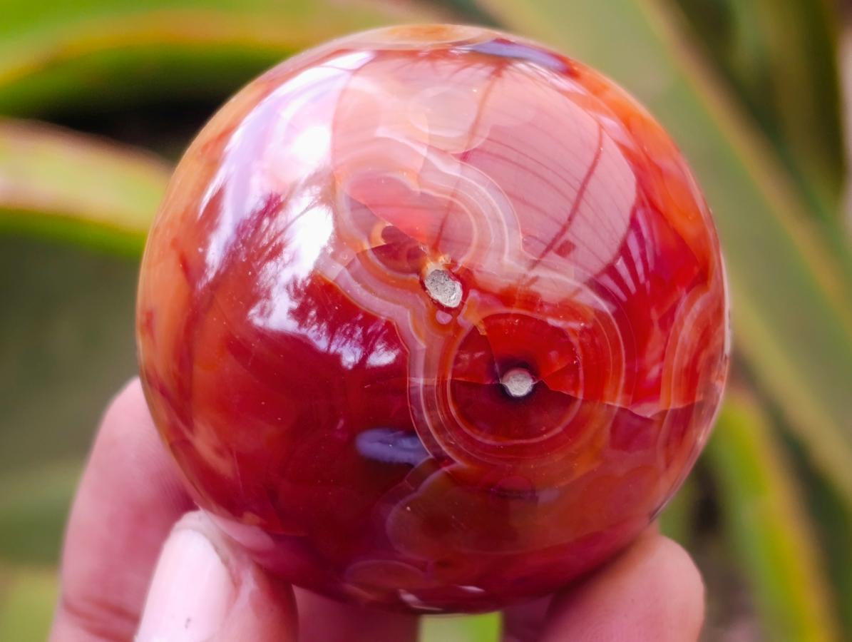 Polished Carnelian Agate Gemstone Spheres x 6 From Madagascar