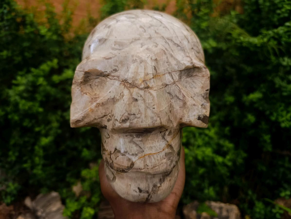 Hand Made XL Tiger Feldspar Skull Carving x 1 From Madagascar
