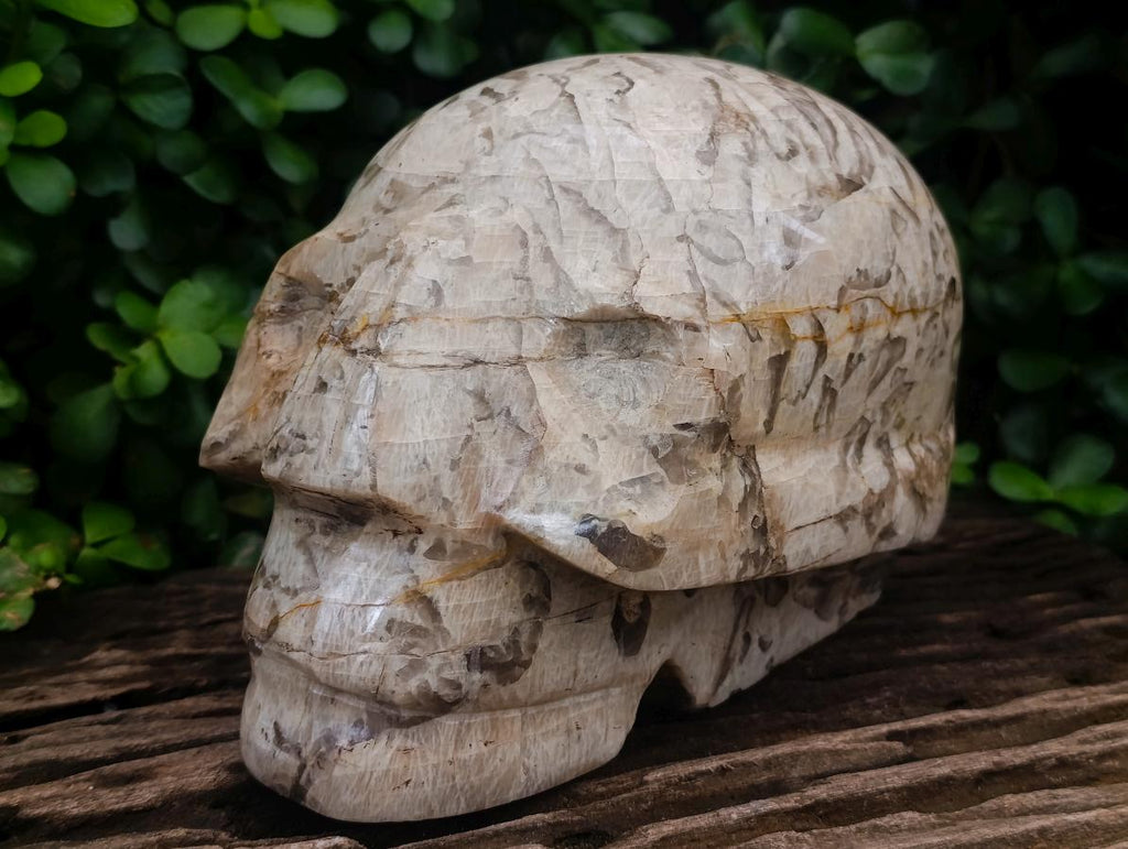 Hand Made XL Tiger Feldspar Skull Carving x 1 From Madagascar
