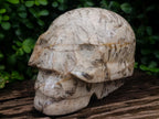 Hand Made XL Tiger Feldspar Skull Carving x 1 From Madagascar