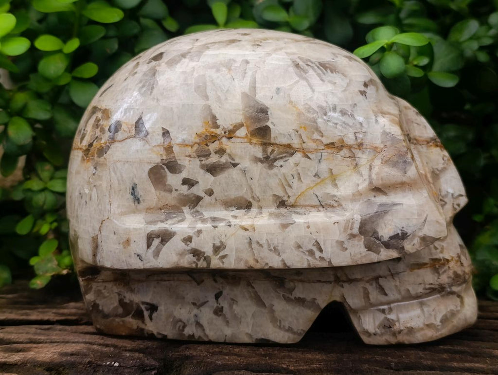 Hand Made XL Tiger Feldspar Skull Carving x 1 From Madagascar