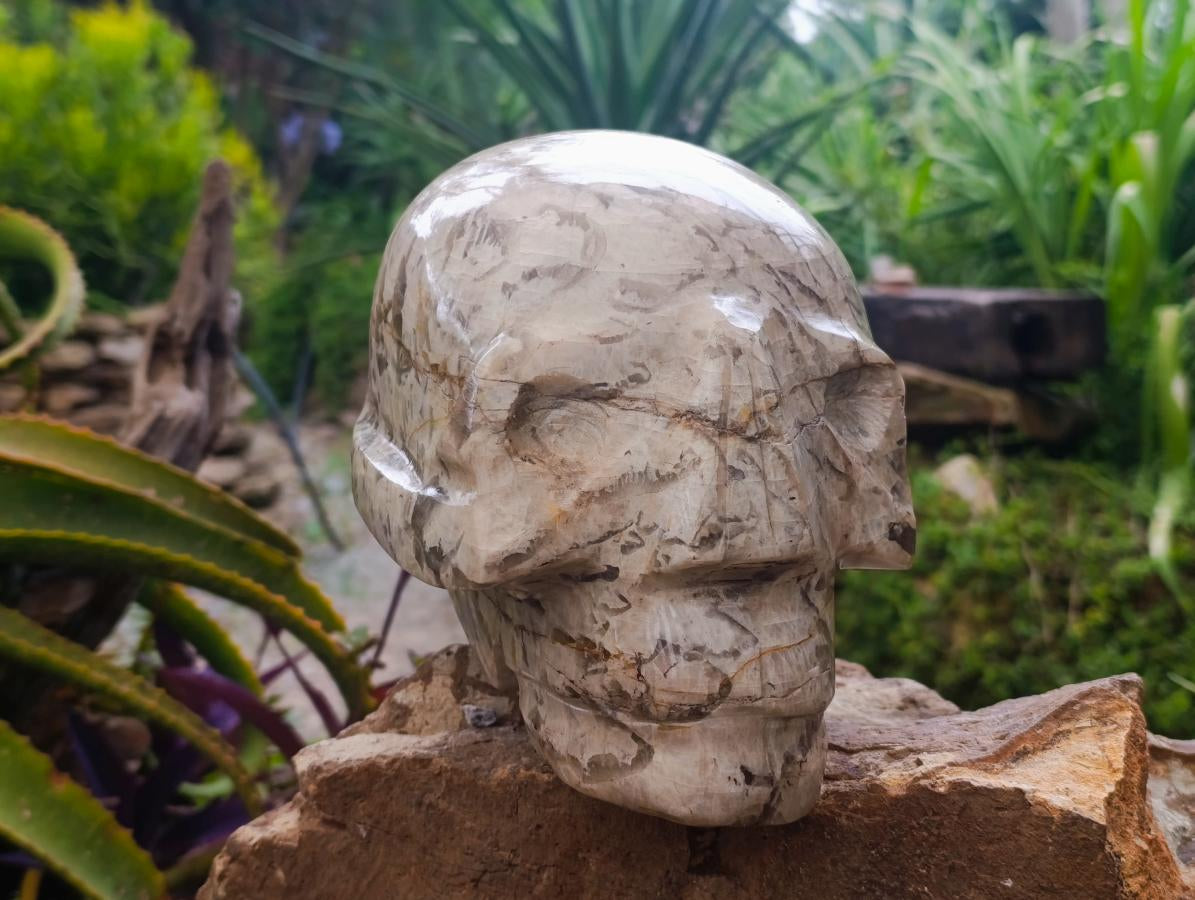 Hand Made XL Tiger Feldspar Skull Carving x 1 From Madagascar