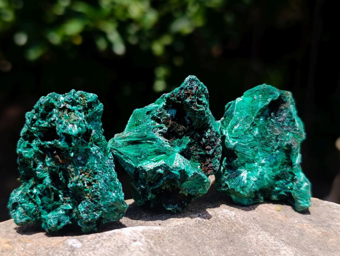 Natural Silky Malachite Specimens x 35 From Kasompe, Congo