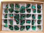 Natural Silky Malachite Specimens x 35 From Kasompe, Congo
