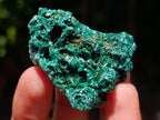 Natural Silky Malachite Specimens x 35 From Kasompe, Congo