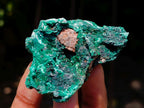 Natural Silky Malachite Specimens x 35 From Kasompe, Congo