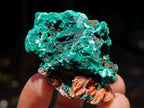 Natural Silky Malachite Specimens x 35 From Kasompe, Congo