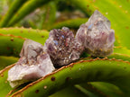 Natural Rare Amethyst Asylum Quartz Clusters x 35 From Luena, Congo