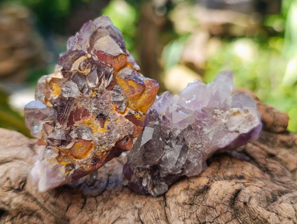 Natural Rare Amethyst Asylum Quartz Clusters x 35 From Luena, Congo