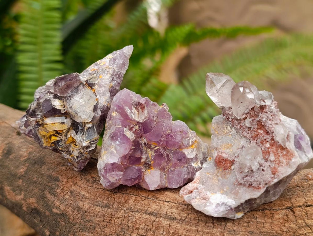 Natural Rare Amethyst Asylum Quartz Clusters x 35 From Luena, Congo