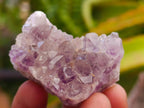 Natural Rare Amethyst Asylum Quartz Clusters x 35 From Luena, Congo