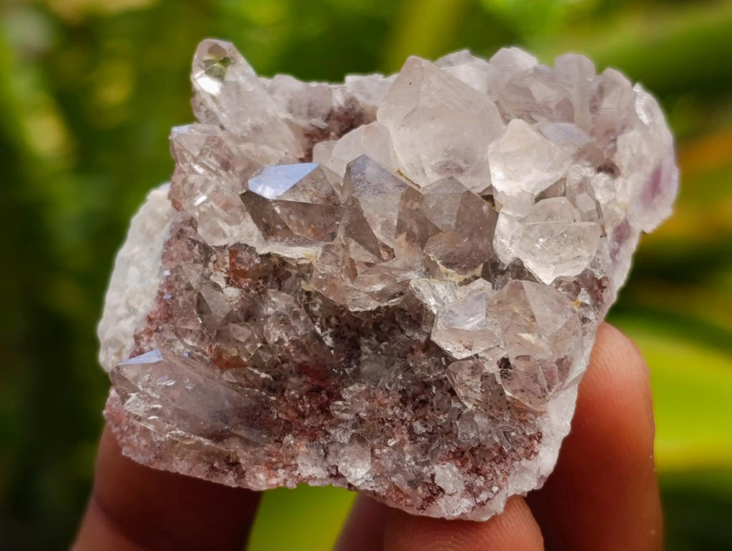 Natural Rare Amethyst Asylum Quartz Clusters x 35 From Luena, Congo