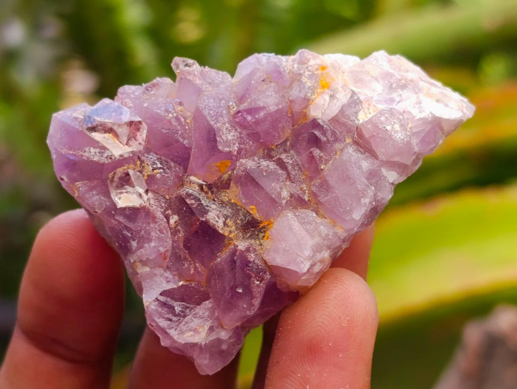 Natural Rare Amethyst Asylum Quartz Clusters x 35 From Luena, Congo