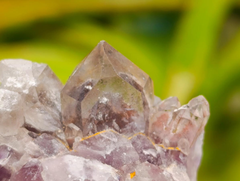 Natural Rare Amethyst Asylum Quartz Clusters x 35 From Luena, Congo