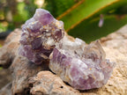 Natural Rare Amethyst Asylum Quartz Clusters x 35 From Luena, Congo