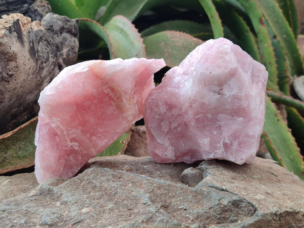 Natural Cobbed Rose Quartz Specimens x 6 From Northern Cape, South Africa - Toprock Gemstones and Minerals 