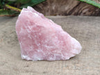 Natural Cobbed Rose Quartz Specimens x 6 From Northern Cape, South Africa - Toprock Gemstones and Minerals 