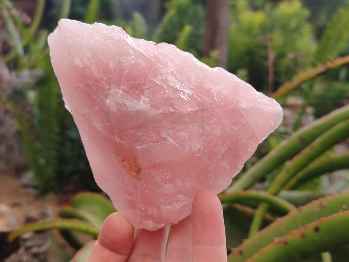 Natural Cobbed Rose Quartz Specimens x 6 From Northern Cape, South Africa - Toprock Gemstones and Minerals 