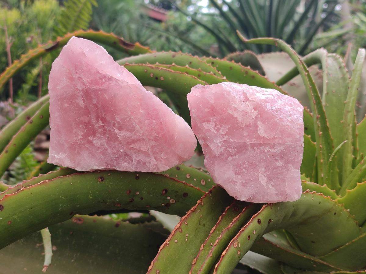 Natural Cobbed Rose Quartz Specimens x 6 From Northern Cape, South Africa - Toprock Gemstones and Minerals 