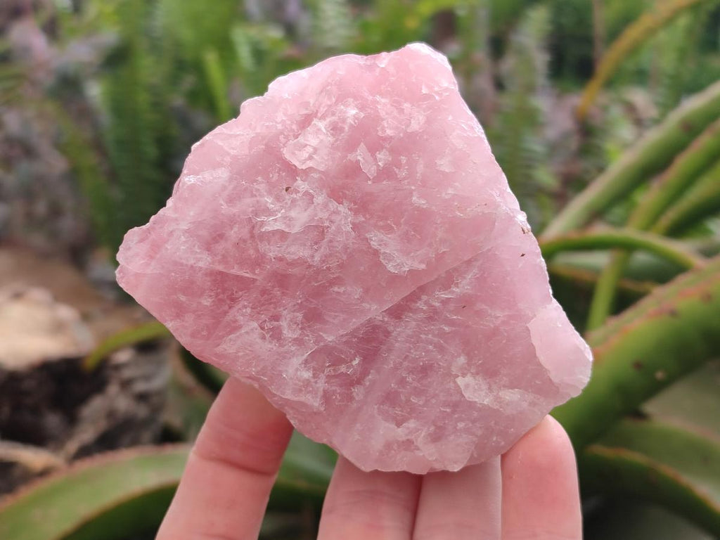 Natural Cobbed Rose Quartz Specimens x 6 From Northern Cape, South Africa - Toprock Gemstones and Minerals 
