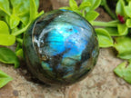 Polished Small Labradorite Spheres x 6 From Madagascar