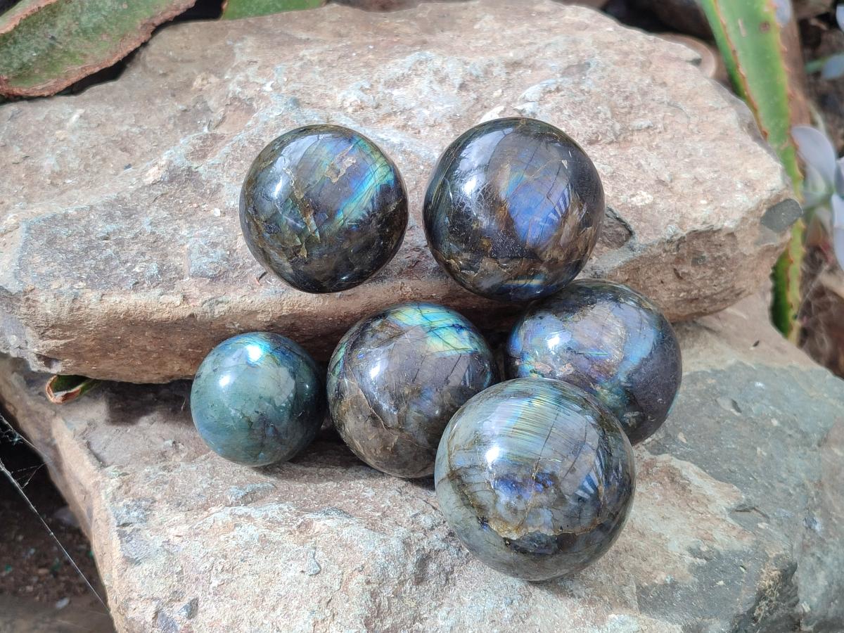 Polished Small Labradorite Spheres x 6 From Madagascar