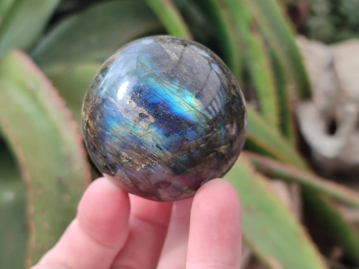 Polished Small Labradorite Spheres x 6 From Madagascar