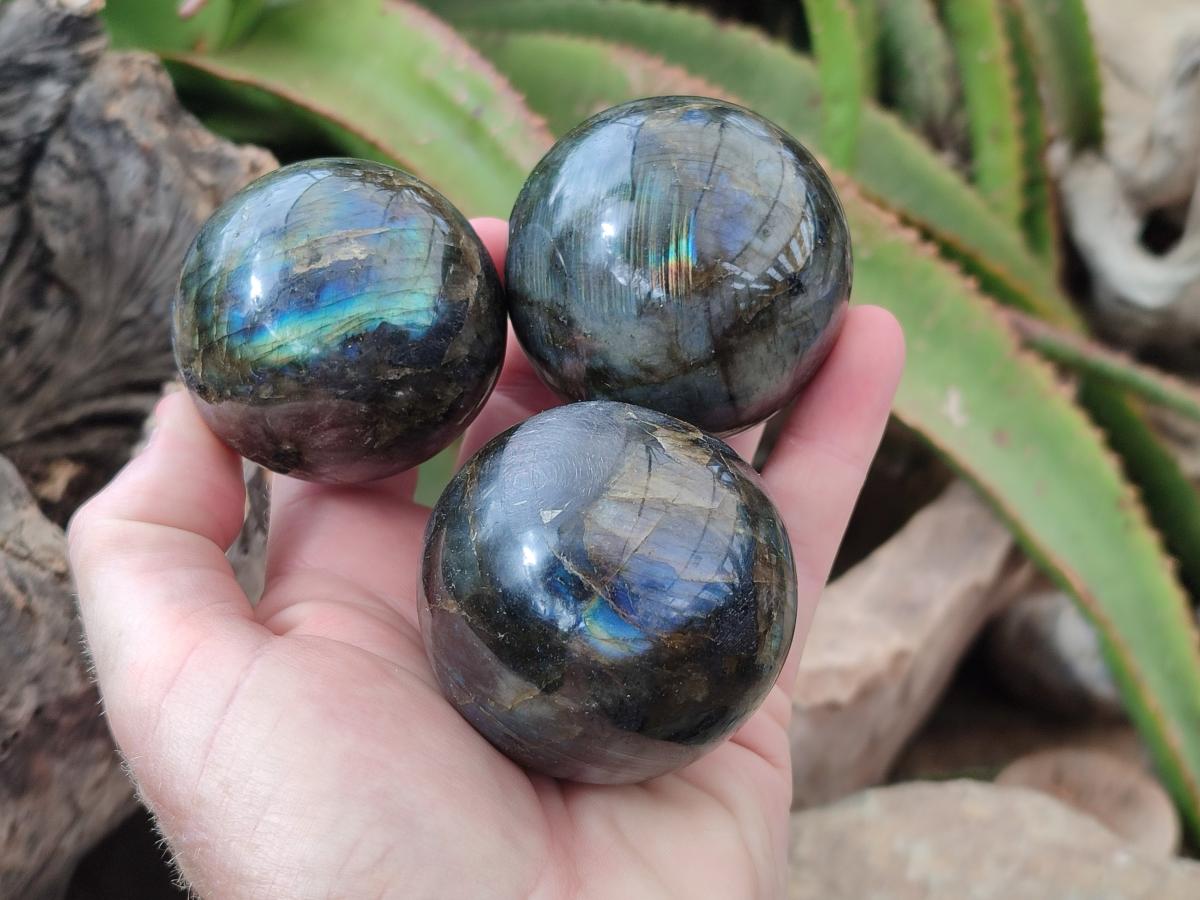 Polished Small Labradorite Spheres x 6 From Madagascar