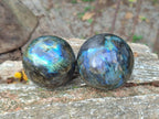 Polished Small Labradorite Spheres x 6 From Madagascar