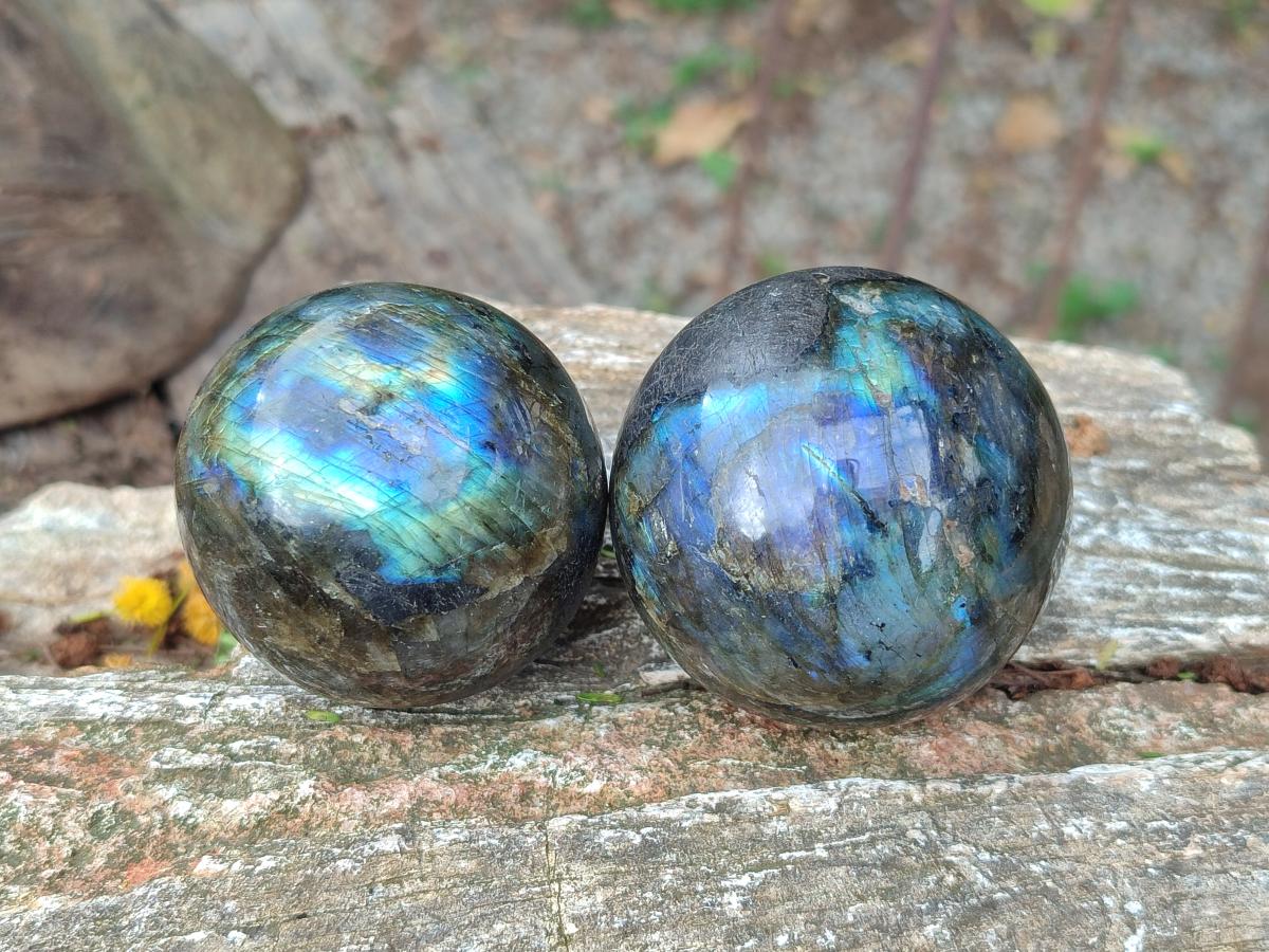 Polished Small Labradorite Spheres x 6 From Madagascar
