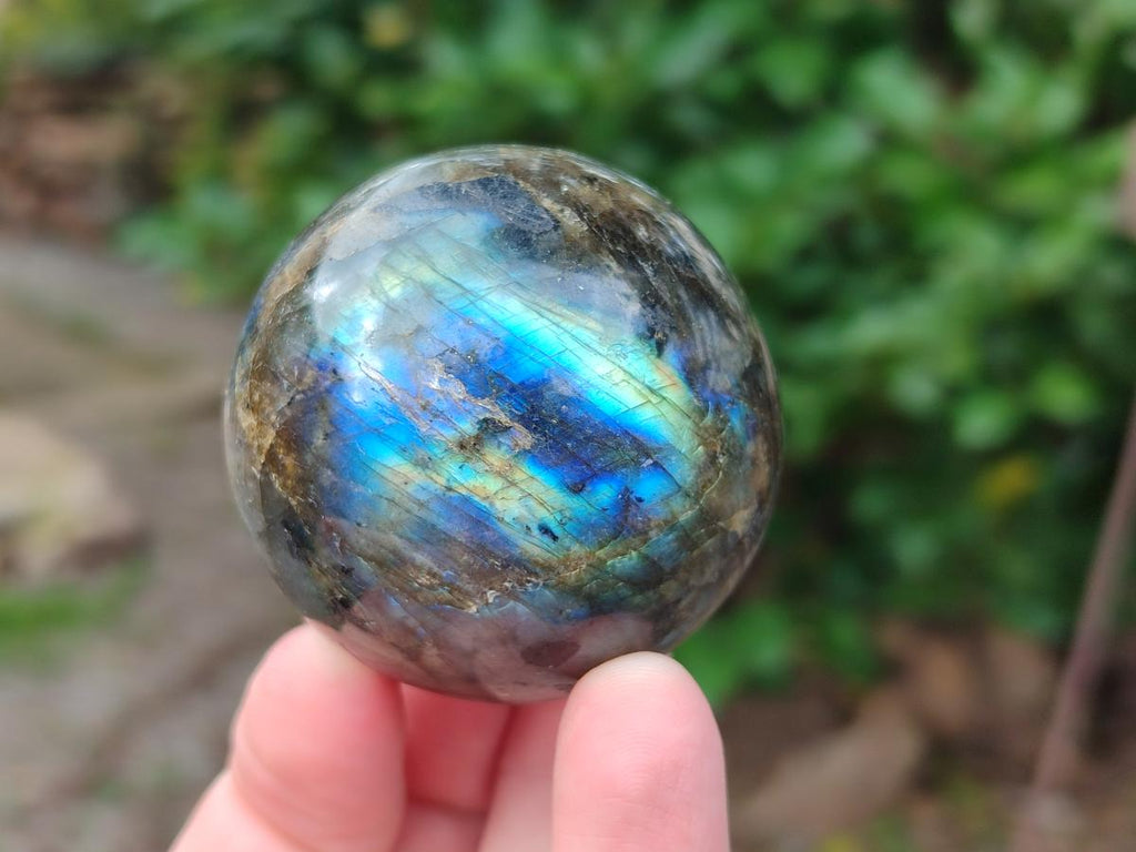 Polished Small Labradorite Spheres x 6 From Madagascar